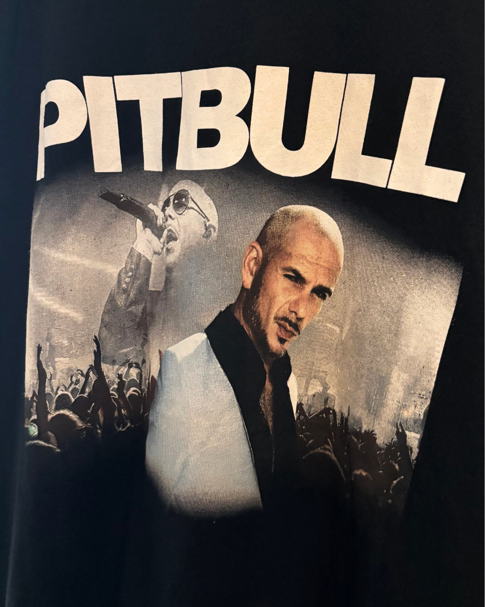Pitbull T-Shirt - L